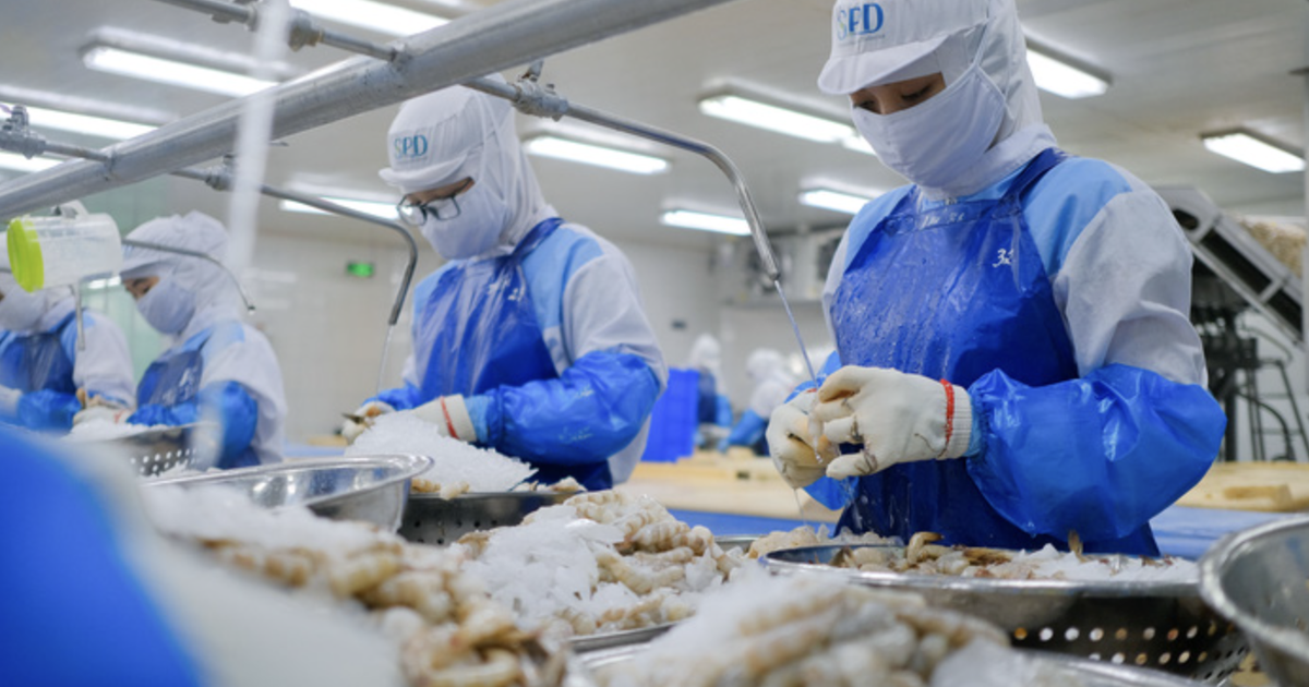 Vietnam seafood exporters urged to stun shrimp, fish before slaughter