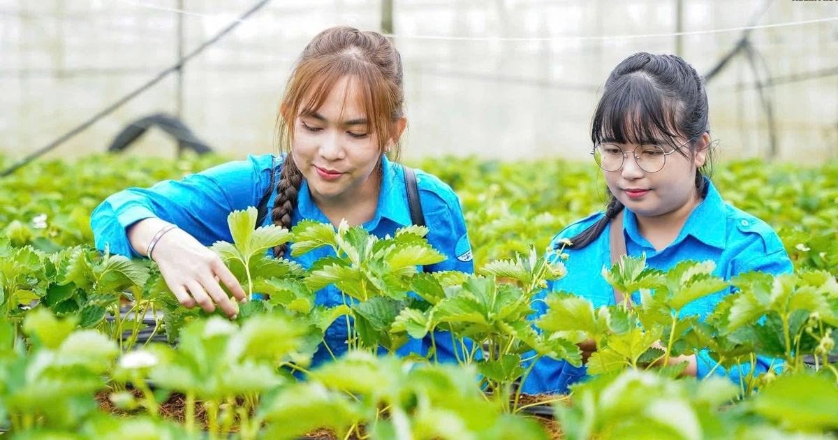 Bạn trẻ TP.HCM học tập mô hình khởi nghiệp tại Sa Pa -Lào Cai