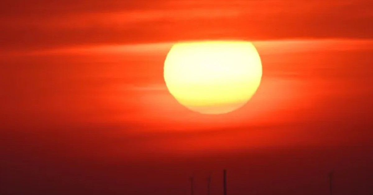 Germany reports record 14,000 heat-related deaths this summer