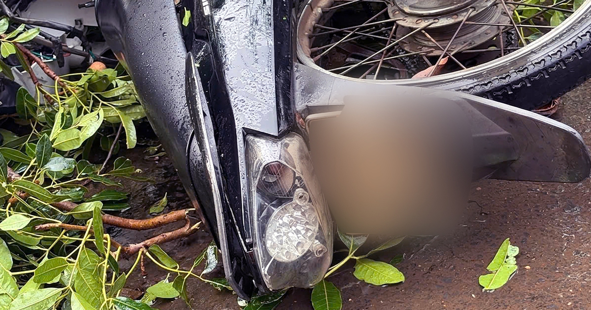 Nam thanh niên 18 tuổi lên Đắk Lắk học nghề bị cây ngã đè đã qua đời