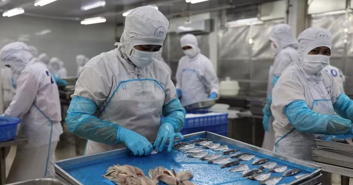 Vietnam remains Cambodia’s top seafood supplier in H1