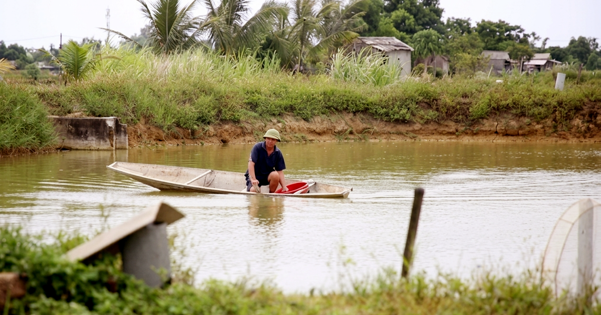 Kiểm điểm trách nhiệm chủ tịch xã và trưởng phòng kinh tế sau sai sót trả tiền hỗ trợ thiên tai