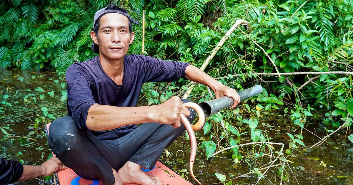 Vietnam's Ca Mau forest workers earn nearly $80 daily from catching eels
