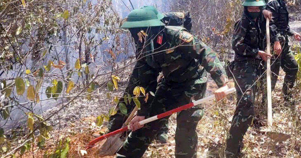 Cháy rừng cạnh đô thị Quy Nhơn, 60ha rừng trồng bị ảnh hưởng