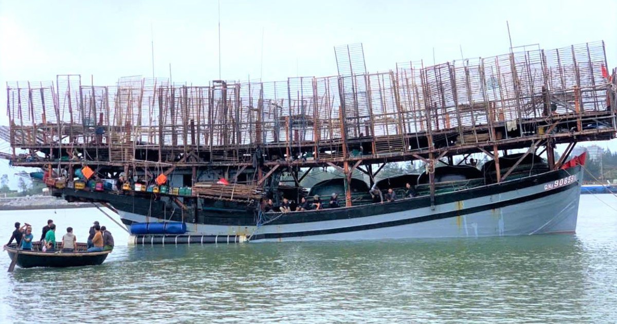 Tàu câu mực có 50 ngư dân mất liên lạc, đề nghị tìm kiếm