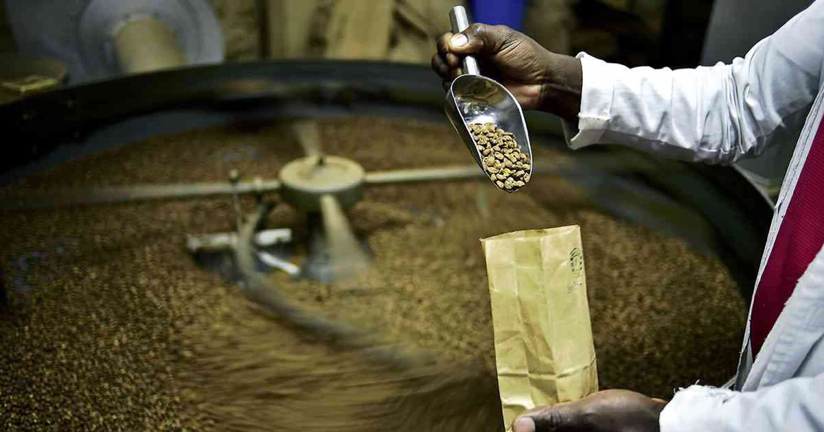 Lối đi riêng của Robusta Ấn Độ