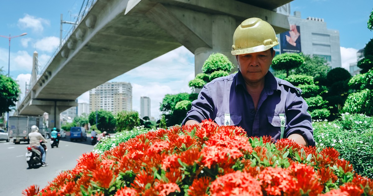 TP.HCM biến đường phố, nhà chờ xe buýt thành những ‘khu vườn nhỏ’