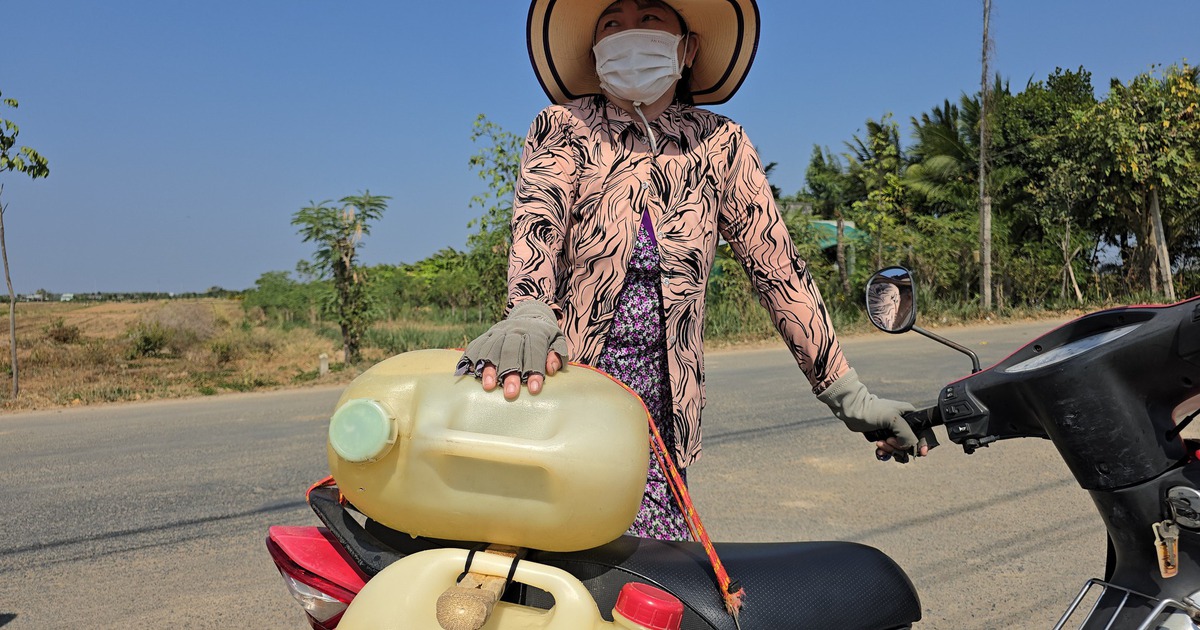 El Nino siêu mạnh, Đồng bằng sông Cửu Long làm gì trước nguy cơ khô hạn lịch sử?