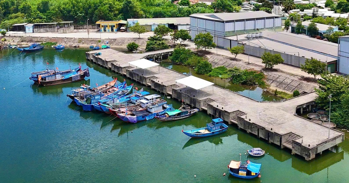 Đầu tư thêm 8 tỉ đồng để 'hồi sinh' cảng cá gần 200 tỉ ở Quảng Ngãi