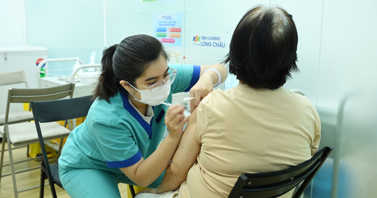 TP.HCM ghi nhận gần 1.000 ca sốt xuất huyết mới 1 tuần