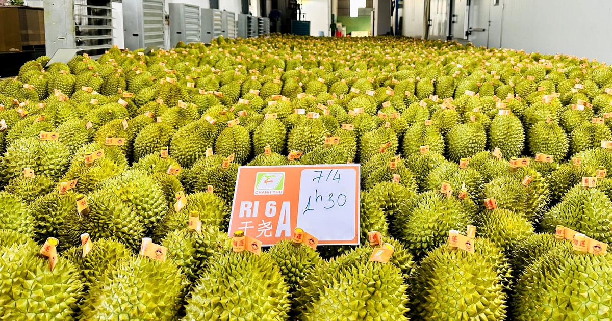 Trung Quốc, Mỹ... phê duyệt mã số vùng trồng nông sản, sầu riêng trước khi nhập khẩu
