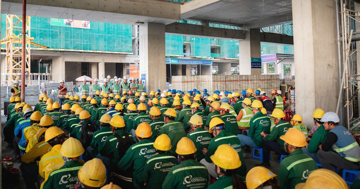 Những cái chết đau lòng từ cớ sự 'hổng biết cũng nhúng tay vô làm'