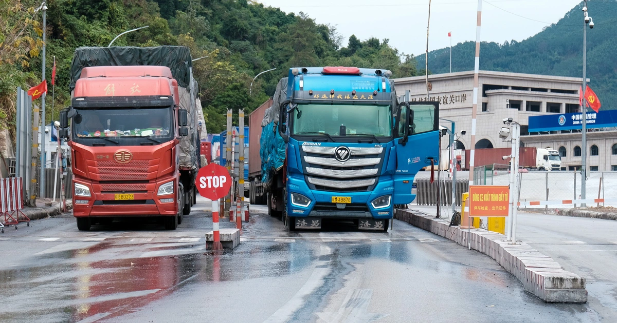 Hàng hóa phải kiểm định hải quan: Làm sao để ngăn chặn 1 lô hàng lấy mẫu 2 lần?