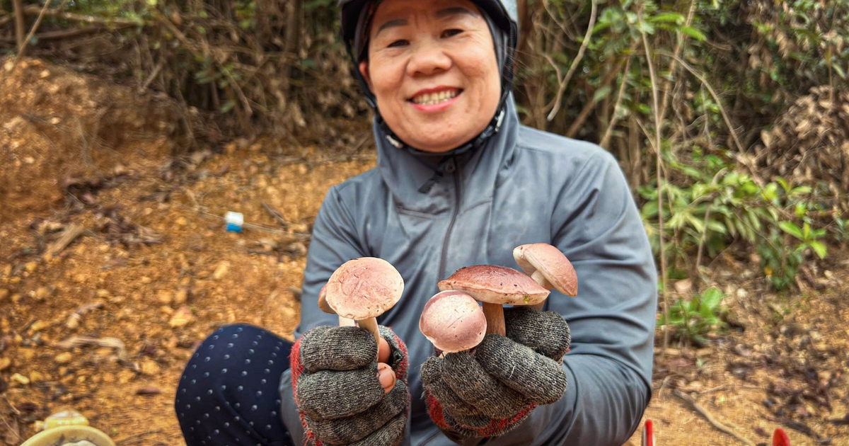tuoitre.vn