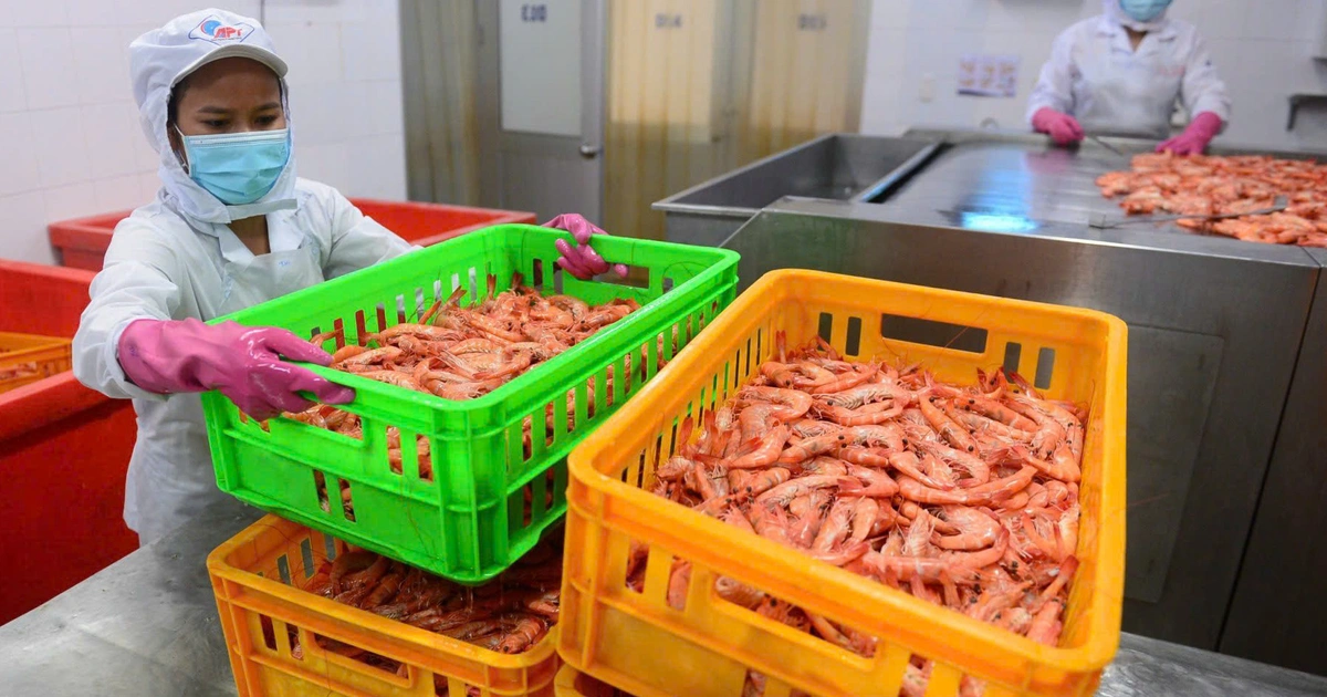 Doanh nghiệp Ba Lan đến Việt Nam tìm tôm để làm burger tôm