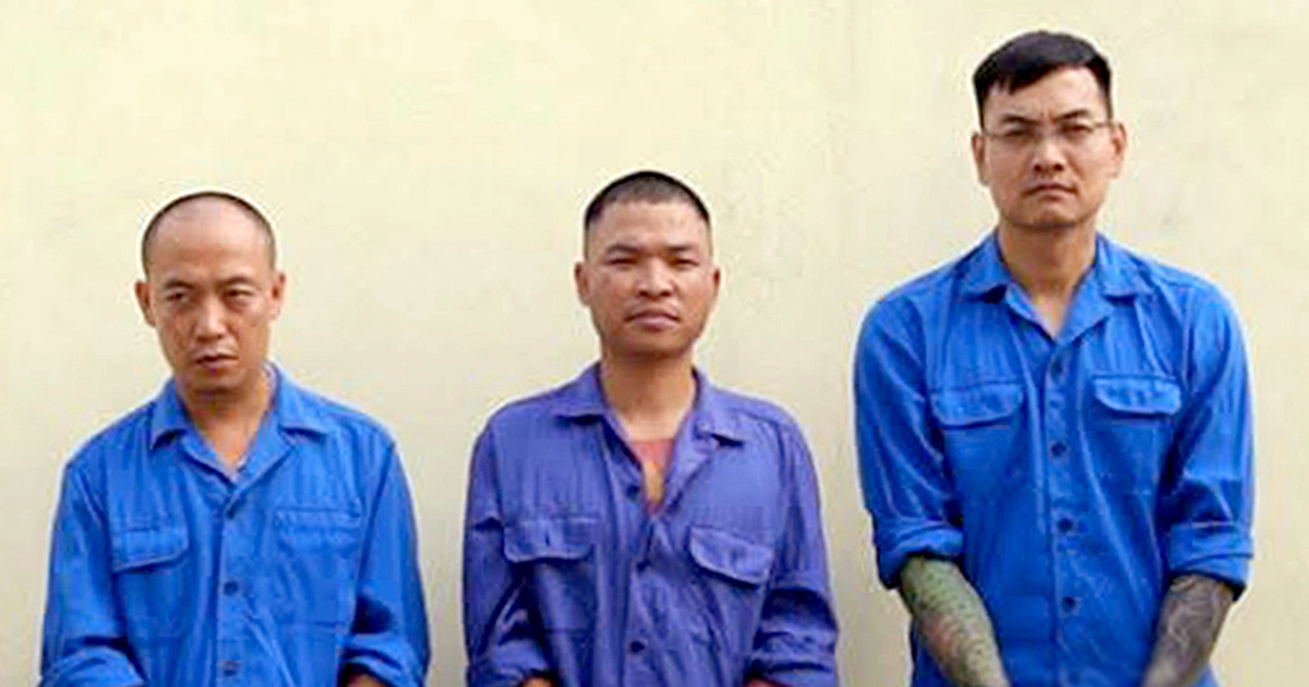 tuoitre.vn