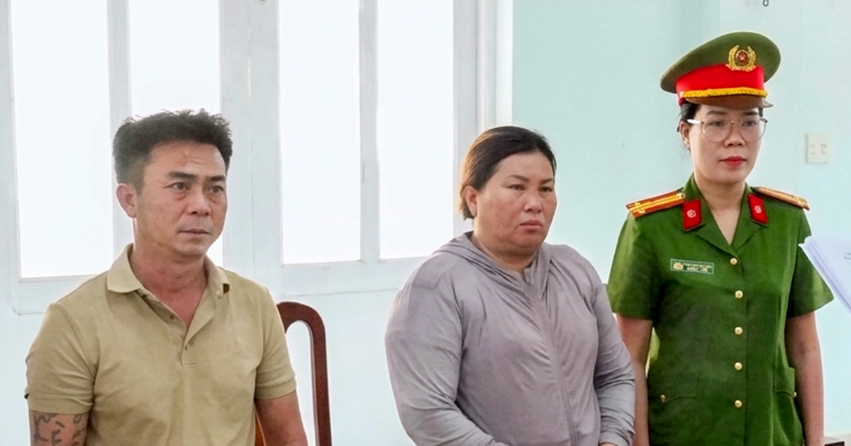 Khởi tố người phụ nữ thu gom 134 tấn ốc, sò chết để san lấp mặt bằng