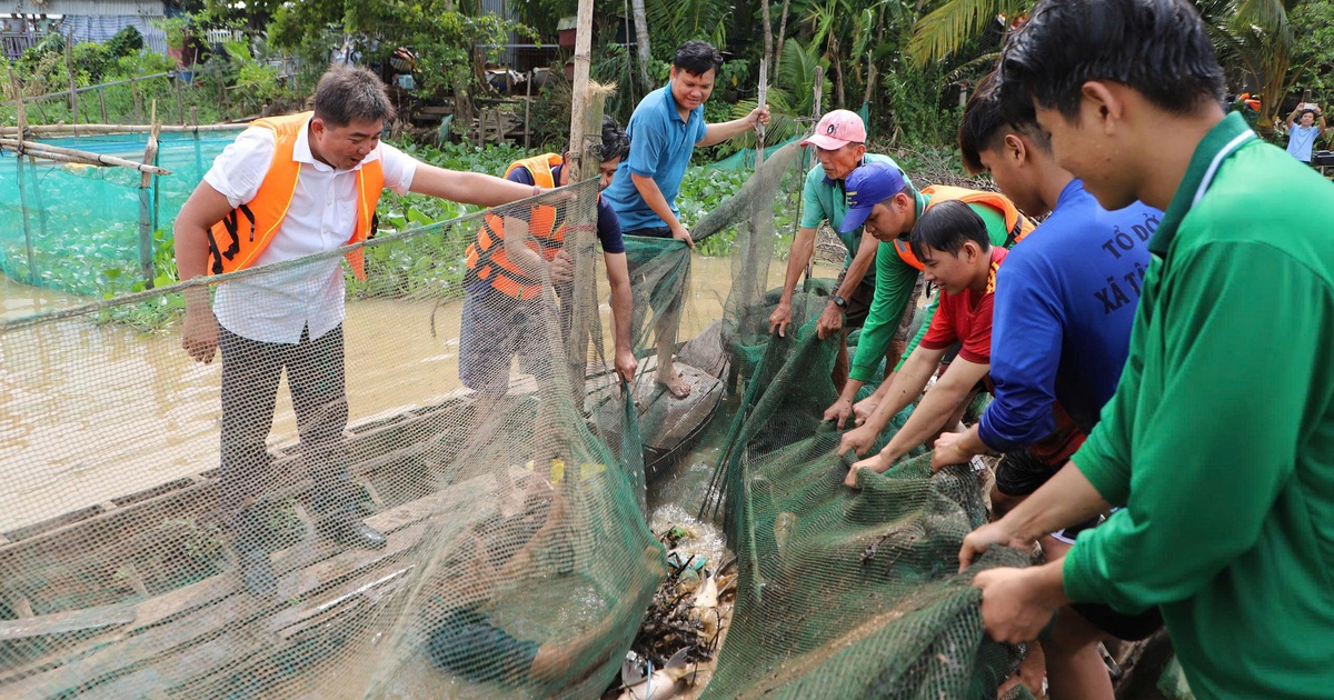 Nông dân Đồng Tháp dỡ chà bắt cá, học chụp ảnh, quay phim quảng bá du lịch