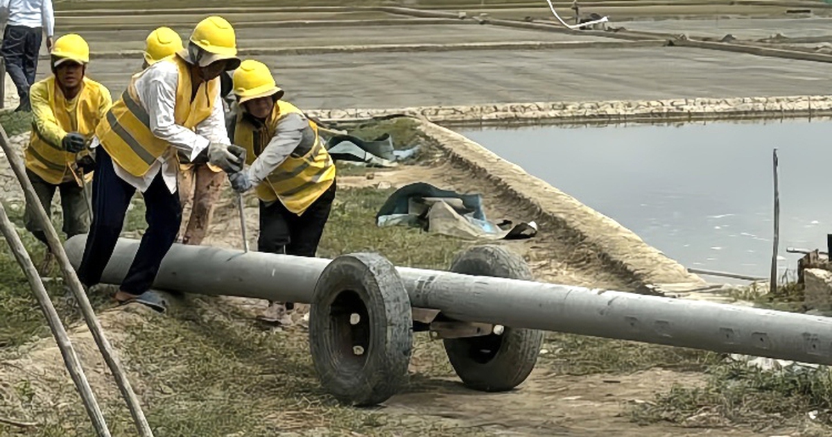 Những người vác bình minh