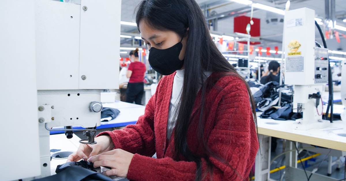 Từ 10-9, quấy rối tình dục tại nơi làm việc bị phạt tới 30 triệu