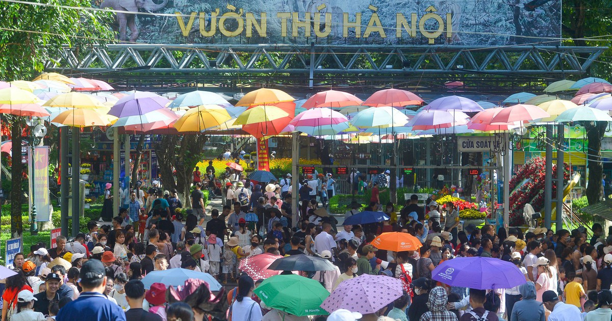 Vườn thú Hà Nội 'hút' khách, đông đảo người dân đến chơi dịp lễ