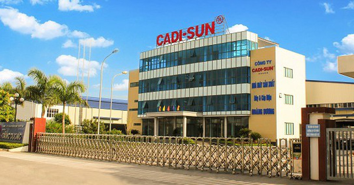 Vụ giấu 1.400 tỉ đồng doanh thu: Cadisun lớn cỡ nào?