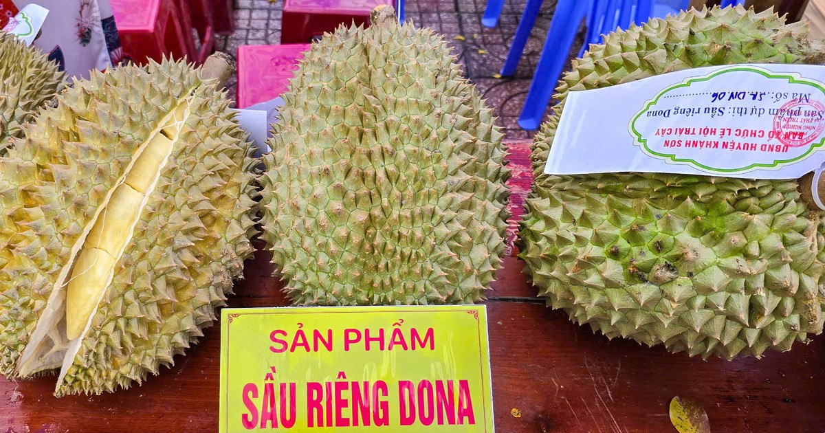 Khánh Hòa giao công an điều tra, xử lý giả mạo mã số vùng trồng sầu riêng