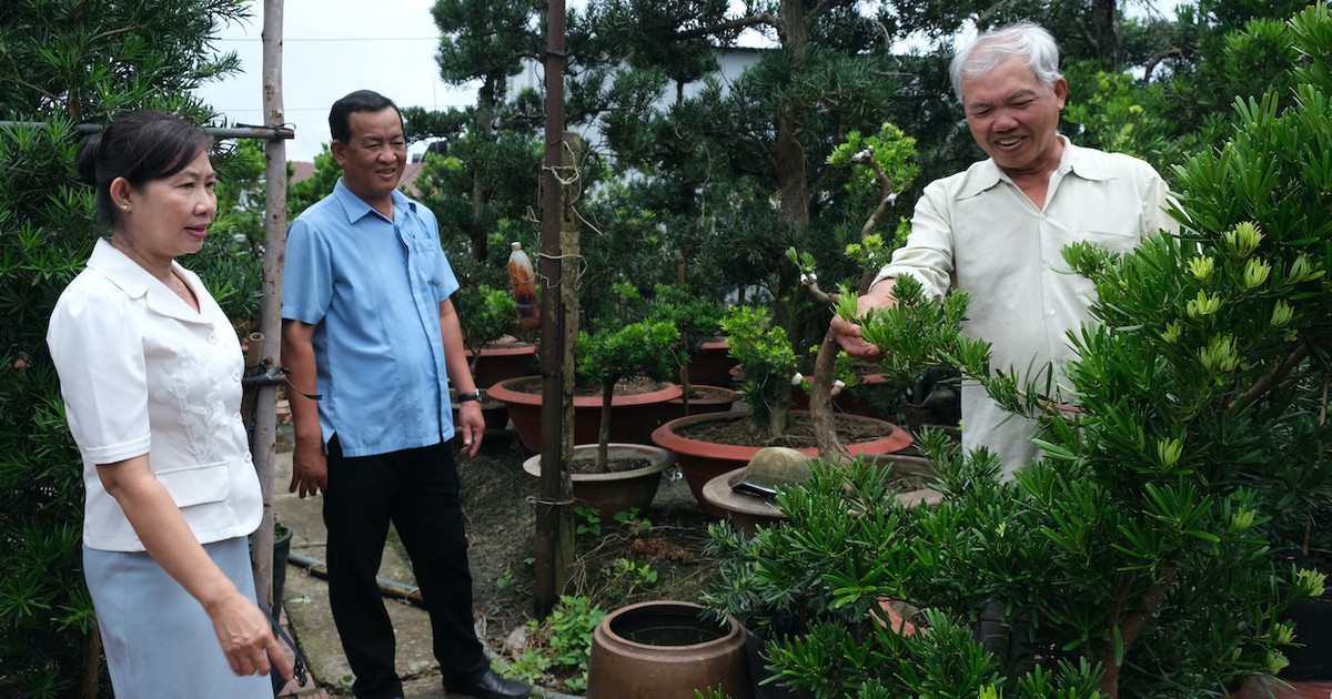 Livestream sales are helping flower growers in Sa Đéc sell ten times more