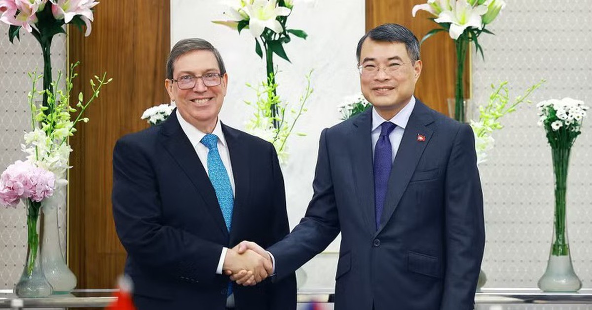 Thủ tướng Lê Minh Hưng: Việt Nam sẵn sàng làm hết sức mình trong khả năng để hỗ trợ Cuba