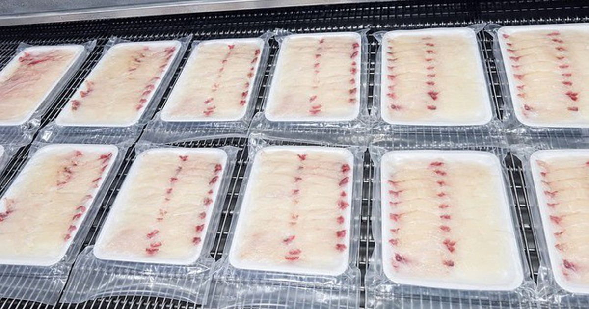 From fish farm to sashimi counter: Vietnam’s tilapia finds market in Japan