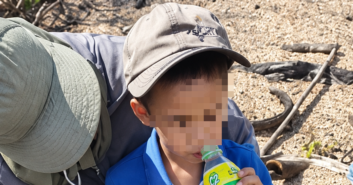 Lost 6-year-old boy found safe on mountain after faithful dog protected him all night