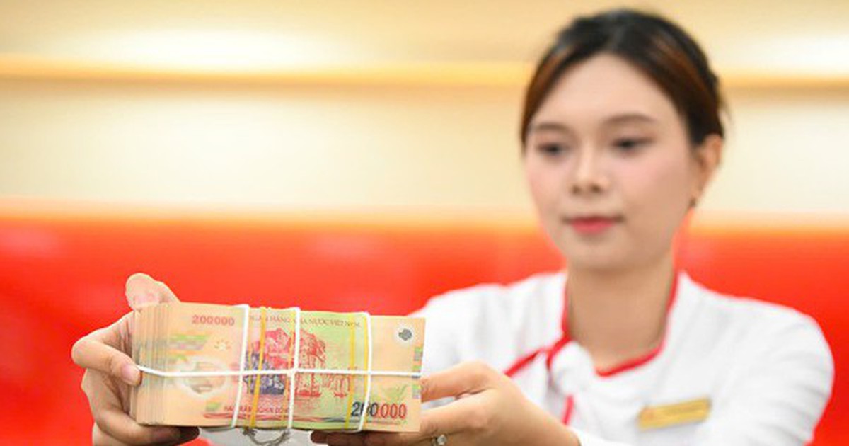 Một công ty được cấp hạn mức tín dụng 11.150 tỉ, mượn nhà đất của tổng giám đốc để thế chấp