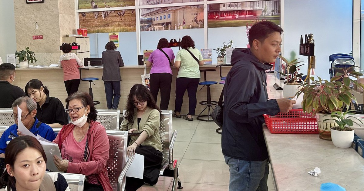 Làm sạch mã số thuế: TP.HCM mới đạt 19,6% nhưng lại đứng đầu về số tuyệt đối