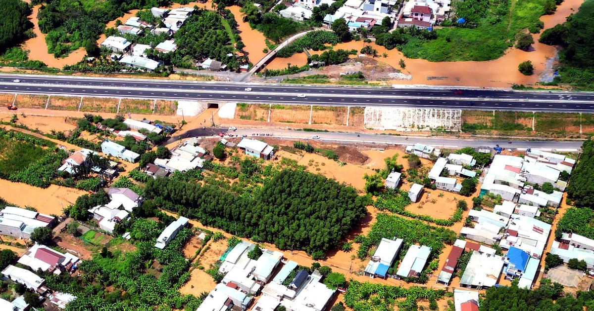 tuoitre.vn