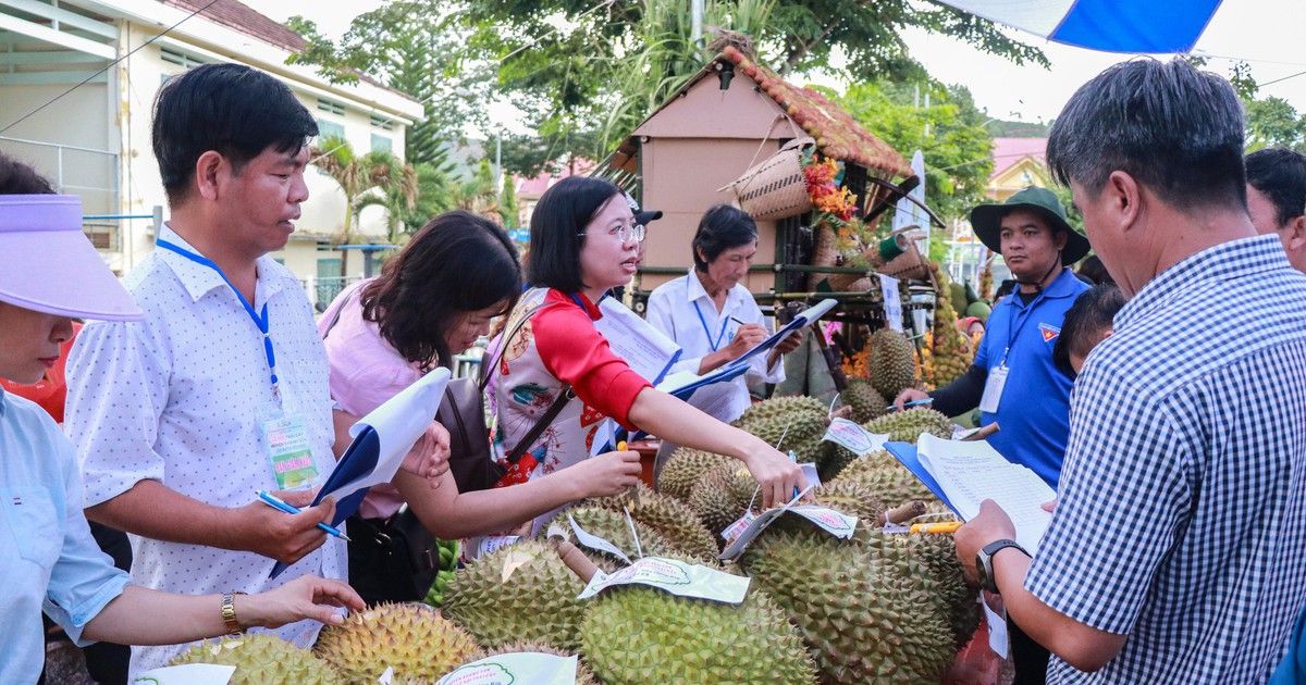 Khánh Hòa chi hỗ trợ hoạt động xúc tiến thương mại tối đa đến 200 triệu đồng/đợt