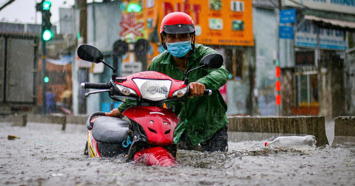 Tổng Lãnh sự Hà Lan: TP.HCM cần tăng không gian thoát nước, tạo dòng chảy chống ngập