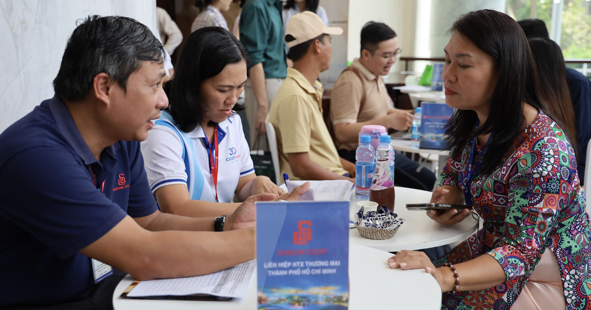 TP.HCM muốn cùng Đông Nam Bộ, ĐBSCL lập 'bản đồ cơ hội đầu tư' toàn vùng