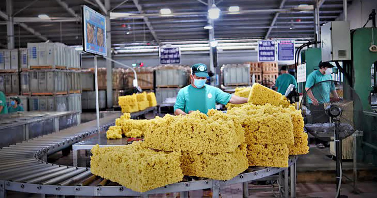 Doanh nghiệp ngành cao su lãi lớn nhờ đền bù đất