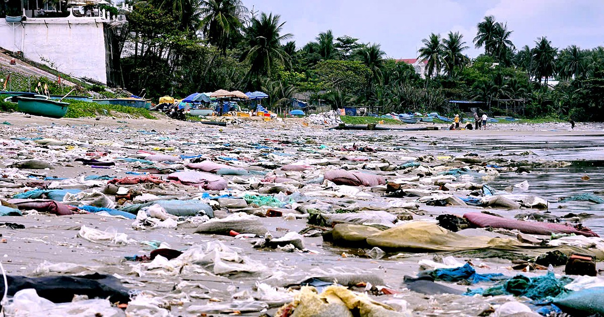 tuoitre.vn