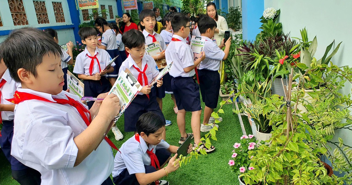Có bao nhiêu khoản thu ngoài học phí ở trường công TP.HCM?