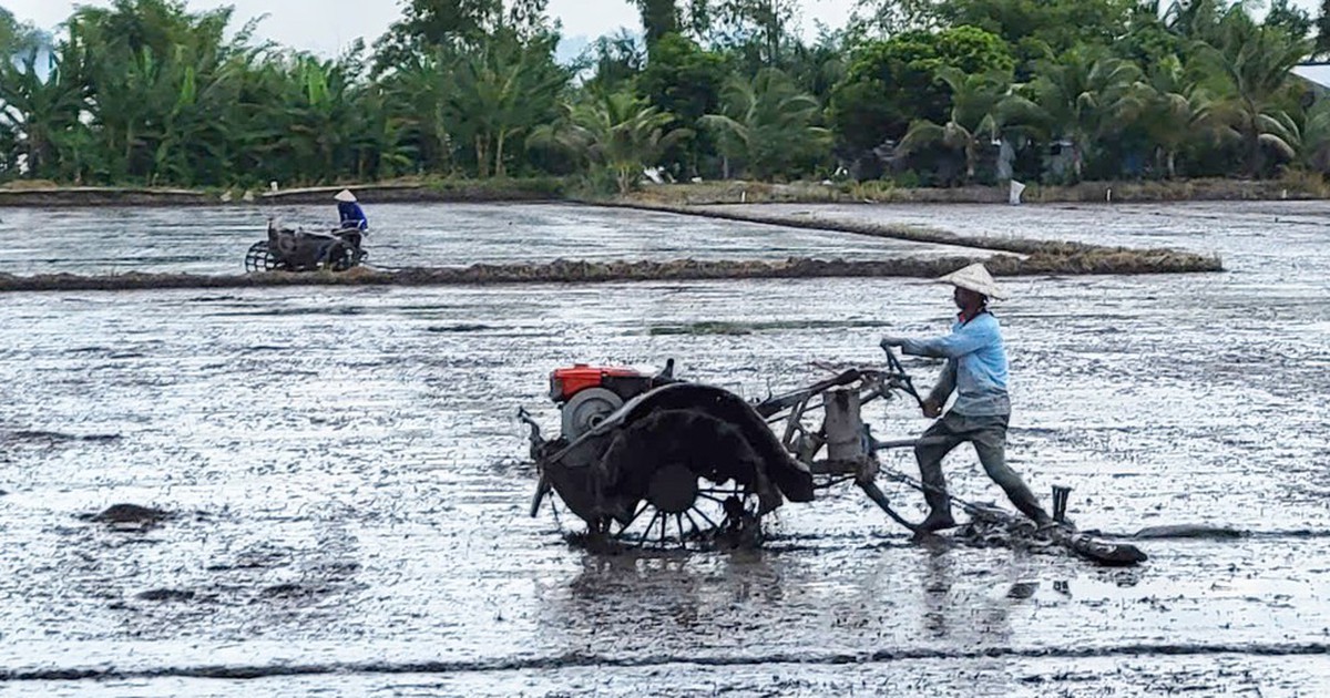 Giữa mùa nước nổi mà lo hạn mặn khốc liệt vì El Nino - Bài 4: Cần kích hoạt kế hoạch phòng chống hạn mặn sớm