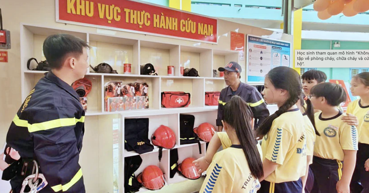 Trường học TP.HCM phải lập phương án ứng phó các nguy cơ an ninh phi truyền thống