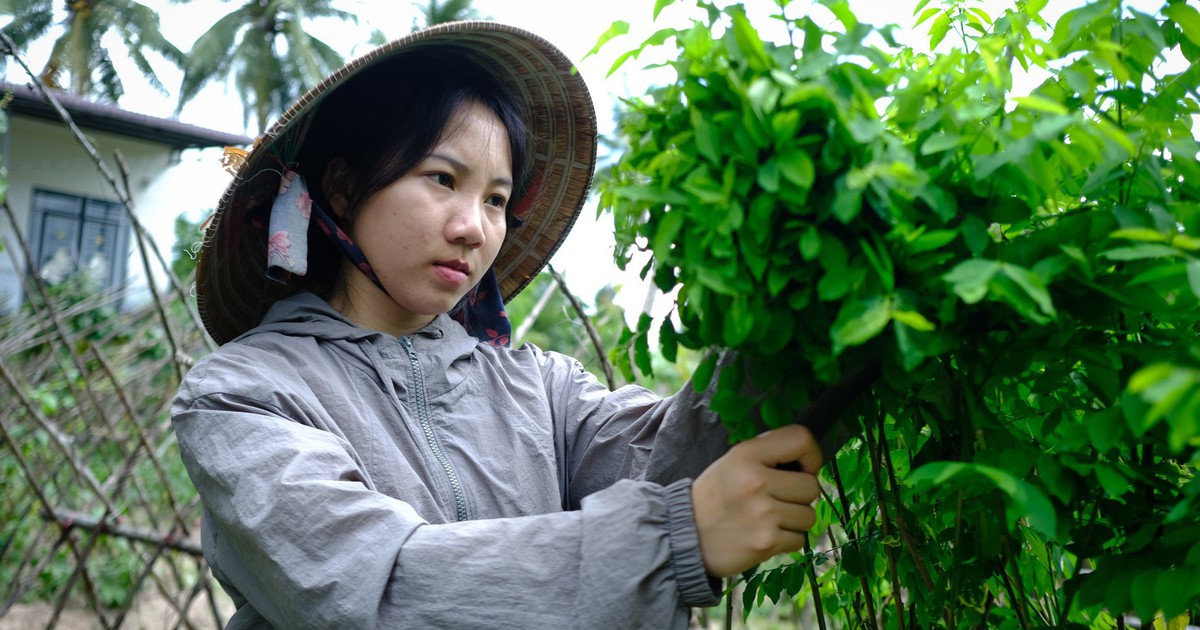 Nữ sinh Krông Pa bốc xếp hàng từ chiều tối đến tinh mơ, không còn cha mẹ, tự tiến vào đại học