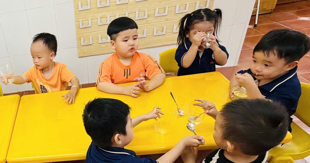 Học mầm non ở TP.HCM: từ 25 triệu đến hơn 350 triệu đồng/năm