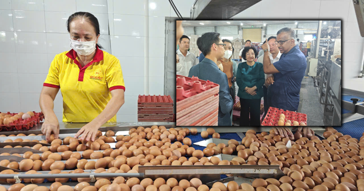 Công ty Ba Huân nợ hơn 600 tỉ đồng, bị xiết nợ hàng chục 'dãy chuồng gà'