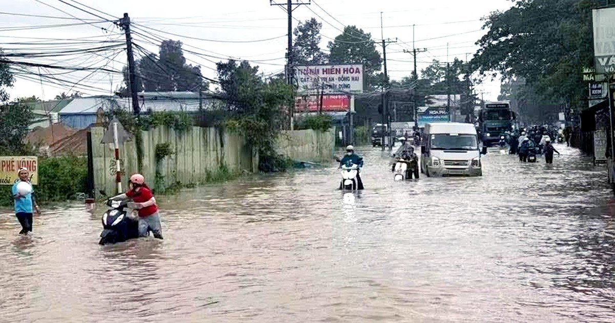 Mưa lớn, triều cường, dân Đồng Nai sáng sớm bì bõm lội nước đi làm