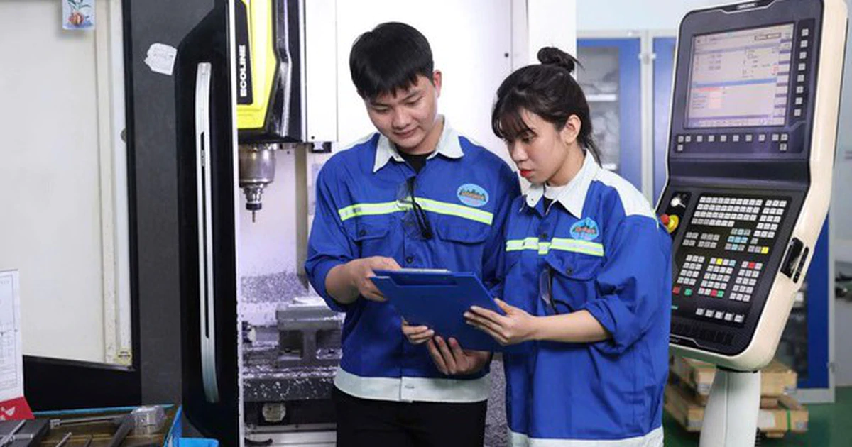 Vocational schools bring green skills into workshops and classrooms