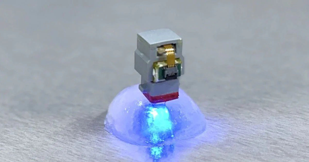 Researchers remotely controlled a brain implant in a mouse from more than 10,000 km away