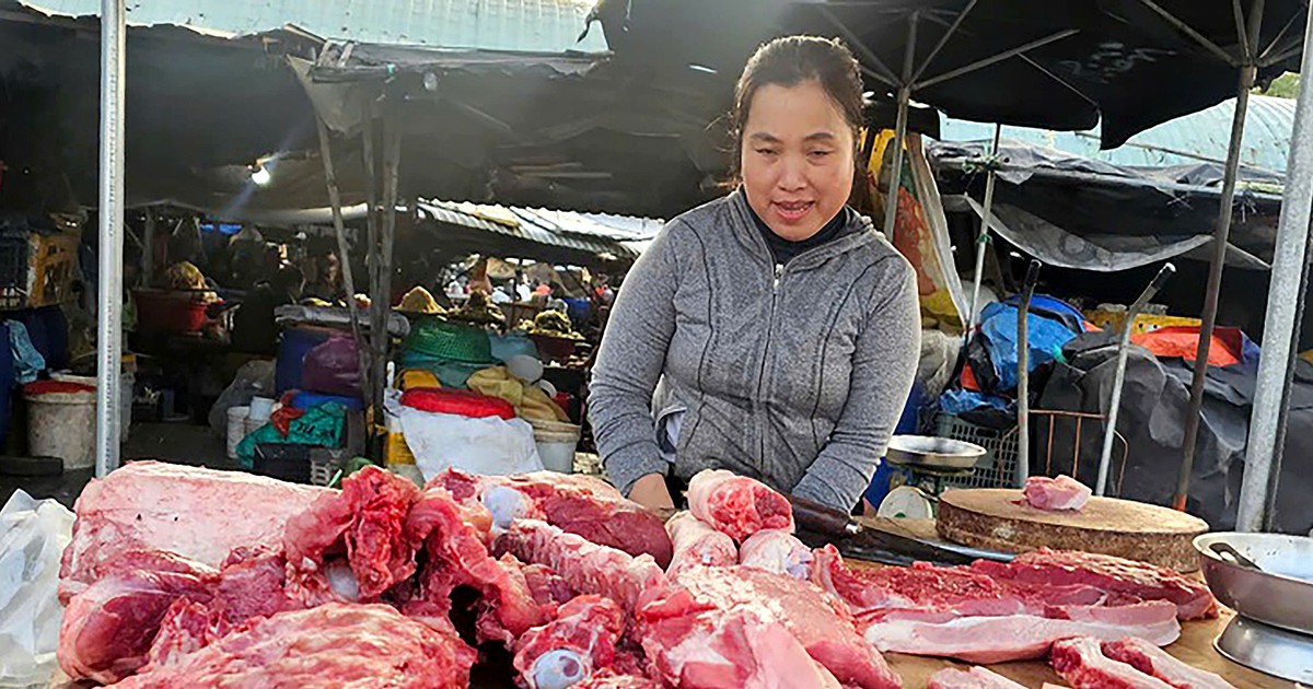 Giá heo hơi ngày 6-9: Cao nhất là các tỉnh phía Bắc, lên mức 60.000 đồng/kg