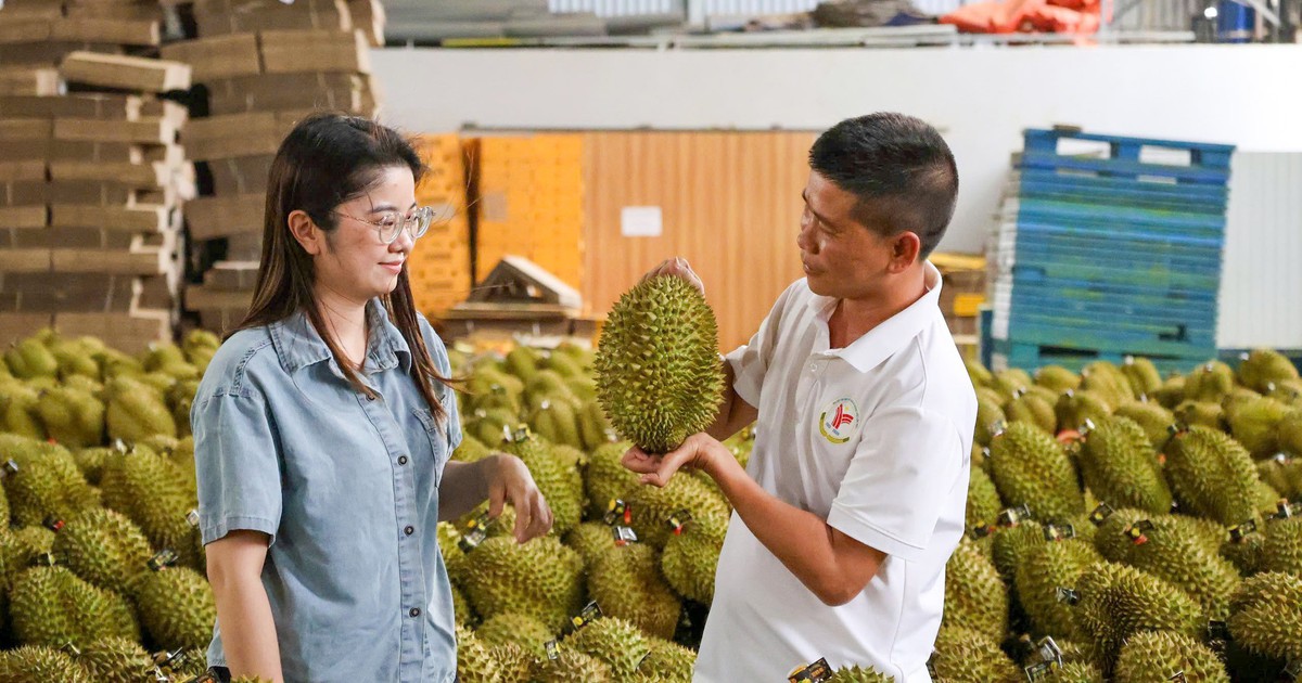 Xuất khẩu sầu riêng hướng tới mốc 4 tỉ USD